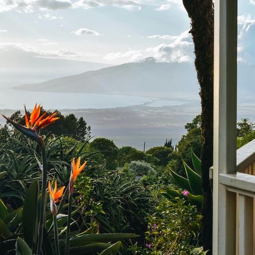 view of the ocean in Maui, Hawaii